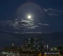 mk官方网站 -本菲卡最新比赛消息